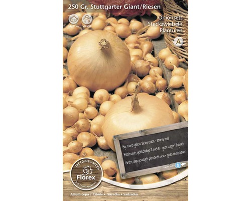 Pommes de terre de semence, plants d'oignons & rhizomes 