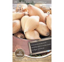 Birnenförmige Steckzwiebeln, 200 Gramm Packung