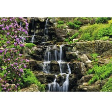 Cascade étagée dans un jardin de rocaille avec des plantes