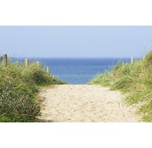 Sandweg zum Meer mit hölzernen Pfosten und Gras