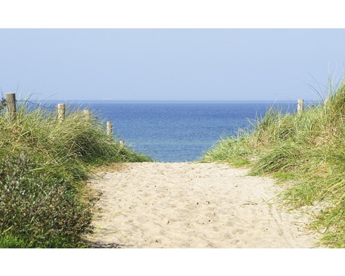 Papier peint panoramique intissé 18313 Dune at the Ocean 7 pces 350 x 260 cm Chemin de sable vers la mer avec des poteaux en bois et de l''herbe