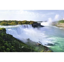 Niagarafälle mit Wasser, Felsen und Vegetation