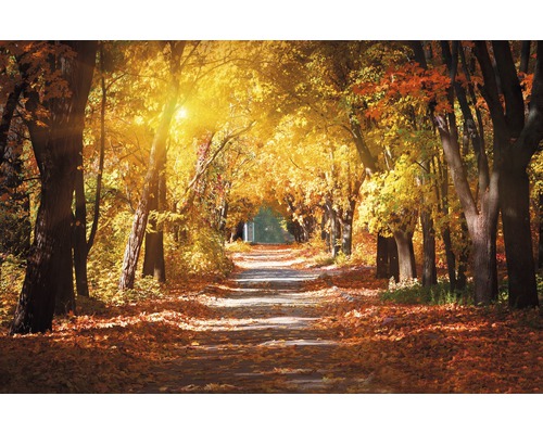 Papier peint panoramique intissé 18315 Alley in the Autumn Park 7 pces 350 x 260 cm