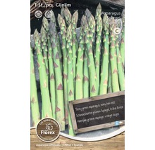 Graines d''asperges pour récolte précoce