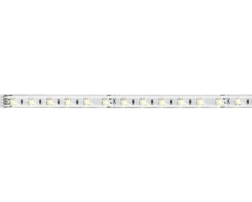 Bande MaxLED 500 1,0 m 7W 550 lm 3000- 6500 K Tunable White 60 LEDs revêtue extension du set de base 24V, compatible Smart Home après extension