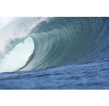 Gros plan d''une vague déferlante
