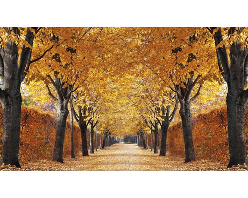 Papier peint panoramique intissé 18333 Autumn Alley 7 pces 350 x 260 cm