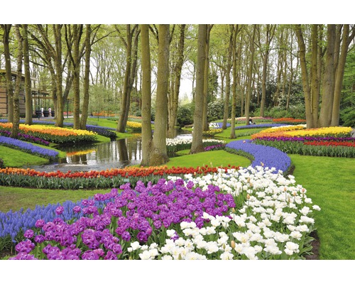 Papier peint panoramique intissé 18337 Tulips in Keukenhof Park 7 pces 350 x 260 cm Parc paysager avec parterres de fleurs, arbres et cours d''eau