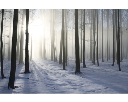 Papier peint panoramique intissé 18340 Misty Winter Forest 7 pces 350 x 260 cm