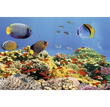 Scène d''aquarium avec poissons et récif corallien