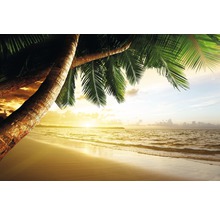 Fototapete Vlies 18348 Caribbean Beach Sunrise 7-tlg. 350 x 260 cm