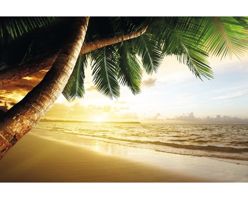 Papier peint panoramique intissé 18348 Caribbean Beach Sunrise 7 pces 350 x 260 cm Plage tropicale avec palmiers au coucher du soleil