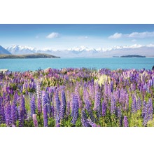 Fototapete Vlies 18349 Montain Lake with Flowers 7-tlg. 350 x 260 cm