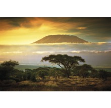 Fototapete Vlies 18350 Mount Kilimanjaro 7-tlg. 350 x 260 cm