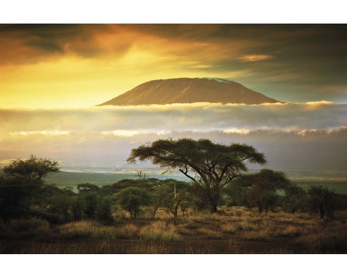 Papier peint panoramique intissé 18350 Mount Kilimanjaro 7 pces 350 x 260 cm Vue de paysage avec montagne et végétation