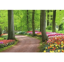 Papier peint panoramique intissé 18352 Tulips Spring Landscape 7 pces 350 x 260 cm