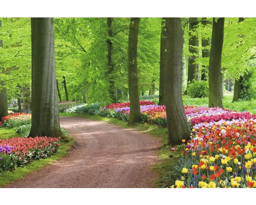 Papier peint panoramique intissé 18352 Tulips Spring Landscape 7 pces 350 x 260 cm