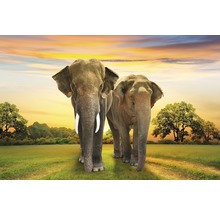 Fototapete Vlies 18353 Elephants Family 7-tlg. 350 x 260 cm