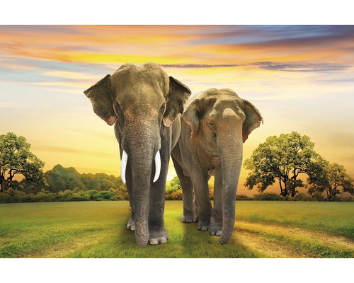 Papier peint panoramique intissé 18353 Elephants Family 7 pces 350 x 260 cm