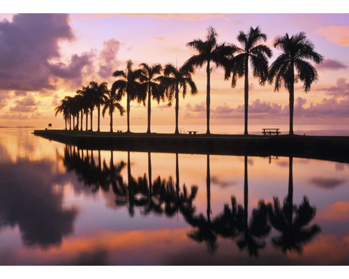 Papier peint panoramique intissé 18362 Beauty and the Beach 7 pces 350 x 260 cm Une rangée de palmiers au bord de l''eau avec des reflets au coucher du soleil.