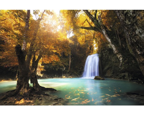 Papier peint panoramique intissé 18365 Waterfall in Kanchanaburi 7 pces 350 x 260 cm Cascade dans une forêt avec des arbres et des poissons
