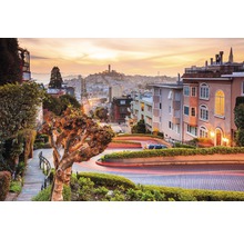 Blick auf die Lombard Street in San Francisco mit Gebäuden, Bäumen und dem Coit Tower im Hintergrund