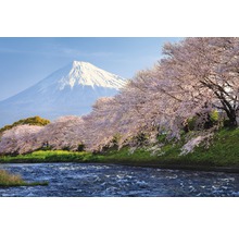 Papier peint panoramique intissé 18370 Fuji and Sakura 7 pces 350 x 260 cm