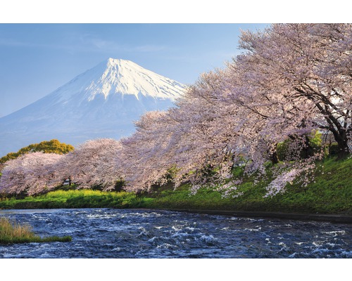 Papier peint panoramique intissé 18370 Fuji and Sakura 7 pces 350 x 260 cm