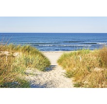 Sandweg zum Strand mit Dünenlandschaft und Meerblick