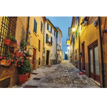 Ruelle avec maisons, jardinières et pavés