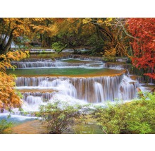 Cascade dans la forêt avec bassins à plusieurs niveaux