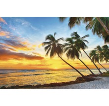 Papier peint panoramique intissé 18378 Barbados Palm Beach 7 pces 350 x 260 cm-thumb-0