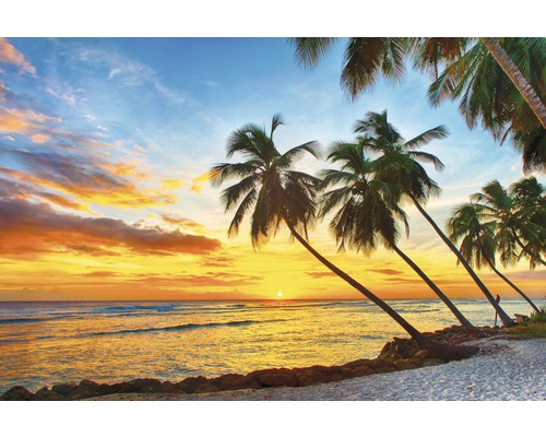 Papier peint panoramique intissé 18378 Barbados Palm Beach 7 pces 350 x 260 cm Coucher de soleil sur la plage avec des palmiers
