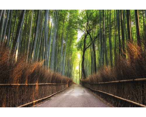 Papier peint panoramique intissé 18382 Bamboo Grove of Kyoto 7 pces 350 x 260 cm