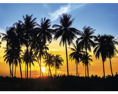 Papier peint panoramique intissé 18389 Coconut Palm Trees 7 pces 350 x 260 cm Silhouette de palmiers au coucher du soleil