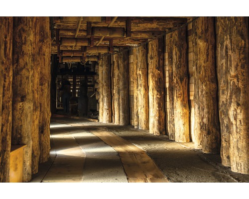 Papier peint panoramique intissé 18392 Wieliczka Salt Mine 350 x 260cm 7 pces 350 x 260 cm