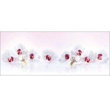 Weisse Orchideenblüten