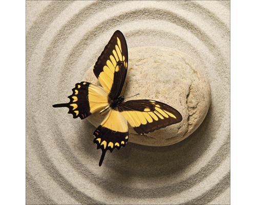 Tableau en verre Butterfly I 20x20 cm