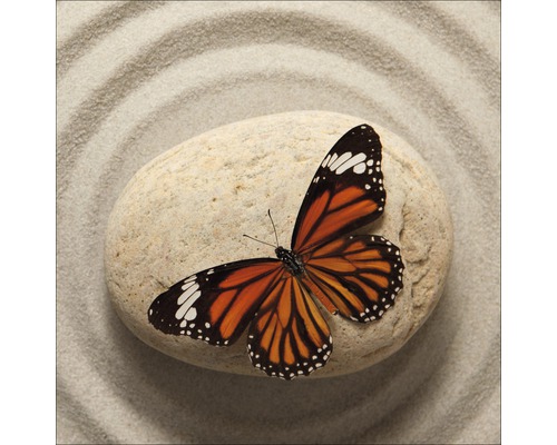 Tableau en verre Butterfly II 20x20 cm