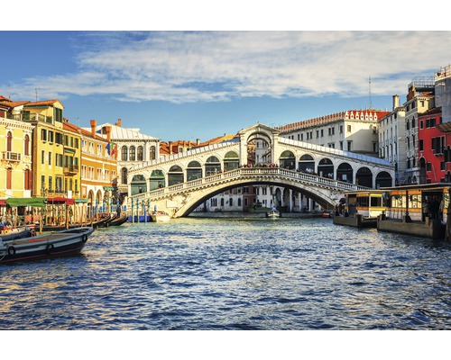 Fototapete Vlies 18398 Grand Canal and Rialto bridge 7-tlg. 350 x 260 cm