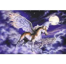Pegasus vor Mondschein und Sternenhimmel