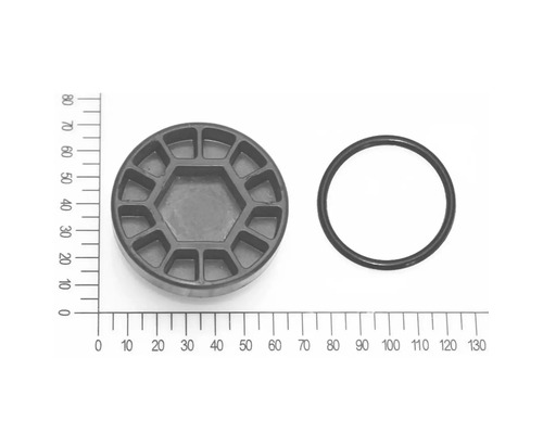 Ablassschraube für Vorfilter mit O Ring für FQ-HW 3.200 Hauswasserwerk (5813003)