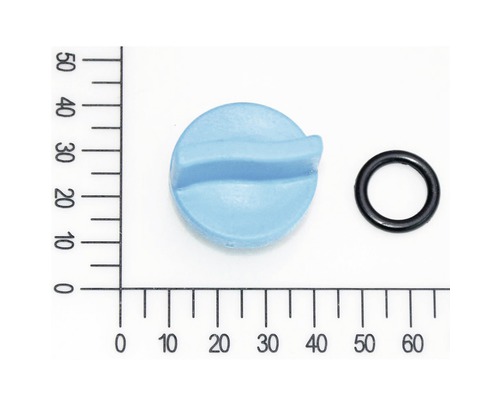 Vis de purge petit modèle avec anneau pour pompe à usage domestique FQ-HW 4.000 (5813004)
