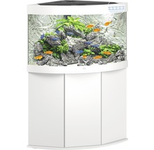 Kit complet d'aquarium JUWEL Trigon 190 SBX avec éclairage LED, filtre, chauffage et meuble bas blanc-thumb-3