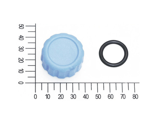 Vis de purge petit modèle avec anneau pour pompe de jardin FQ-GP 4.000 (5813016) Bouchon de fermeture bleu et un joint torique sur une règle de mesure.
