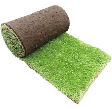 Rouleau de gazon pour le jardin
