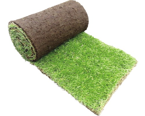 Rouleau de gazon pour le jardin