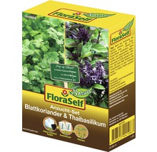 Kit de culture FloraSelf coriandre et basilic thaï en carton