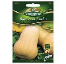 Kürbis 'Early Butternut' Quedlinburger Gemüsesamen