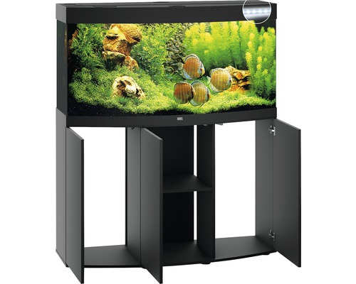 Aquarium avec meuble bas et décoration
